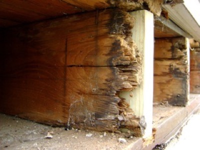 repair severe moisture damage