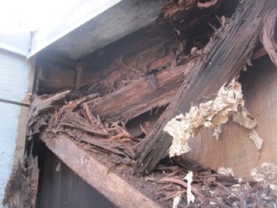porch roof moisture damage rot